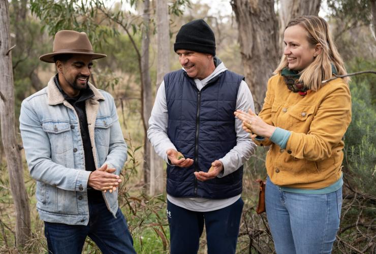 オーストラリア首都特別地域、キャンベラ、ダーウラ・ツアーズ © Tourism Australia オーストラリア首都特別地域、キャンベラ、ダーウラ・ツアーズ © Tourism Australia