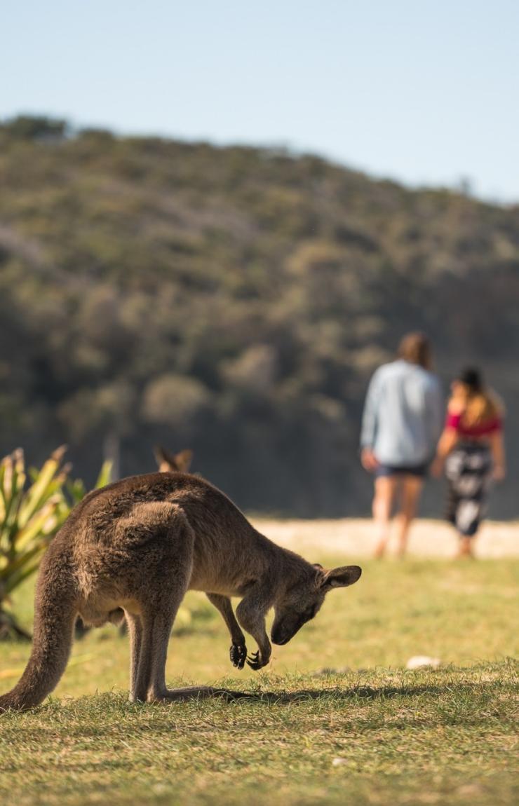 ニュー・サウス・ウェールズ州、ショールヘブン、ペブリー・ビーチ © Shoalhaven City Council ニュー・サウス・ウェールズ州、ショールヘブン、ペブリー・ビーチ © Shoalhaven City Council