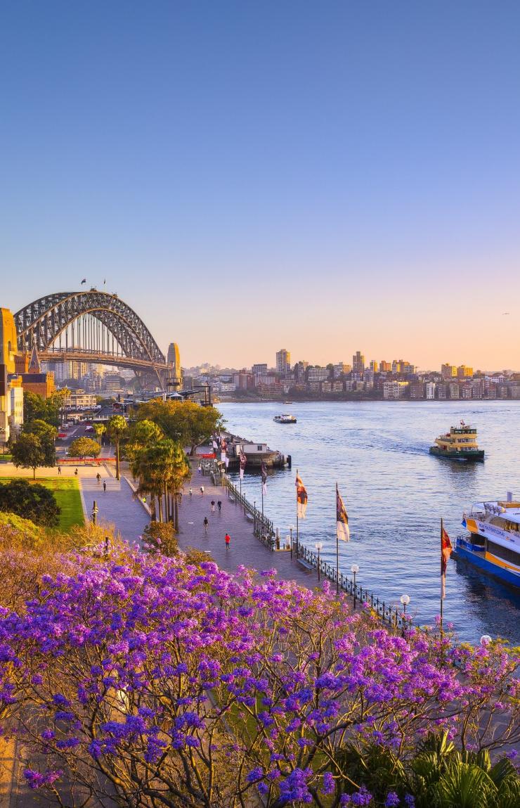 ニュー・サウス・ウェールズ州、シドニー、ジャガランダと日没時のシドニー・ハーバー © Destination NSW ニュー・サウス・ウェールズ州、シドニー、ジャガランダと日没時のシドニー・ハーバー © Destination NSW