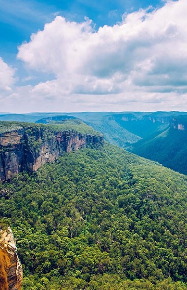 ニュー・サウス・ウェールズ州、ブルー・マウンテンズ © Destination NSW ニュー・サウス・ウェールズ州、ブルー・マウンテンズ © Destination NSW