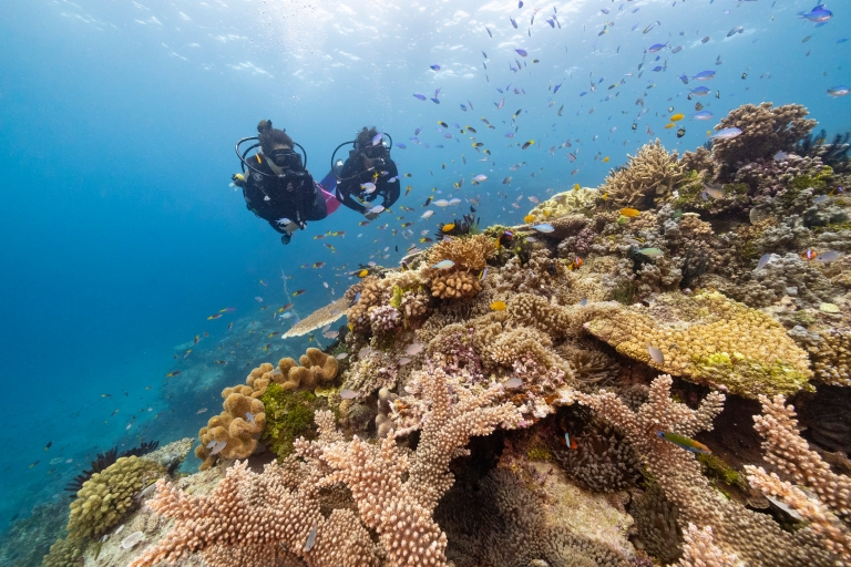 クイーンズランド州、グレート・バリア・リーフ、ジョン・ブリューワー・リーフ © Tourism and Events Queensland クイーンズランド州、グレート・バリア・リーフ、ジョン・ブリューワー・リーフ © Tourism and Events Queensland