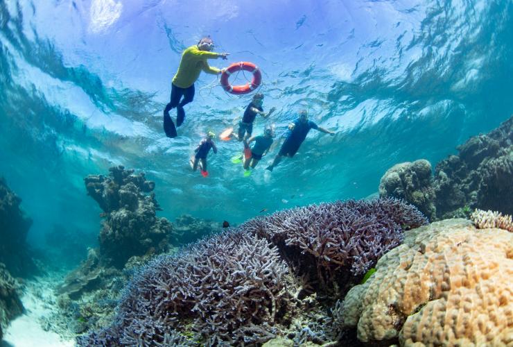 クイーンズランド州、ケアンズ、ドリームタイム・ダイブ・アンド・シュノーケル © Tourism and Events Queensland クイーンズランド州、ケアンズ、ドリームタイム・ダイブ・アンド・シュノーケル © Tourism and Events Queensland