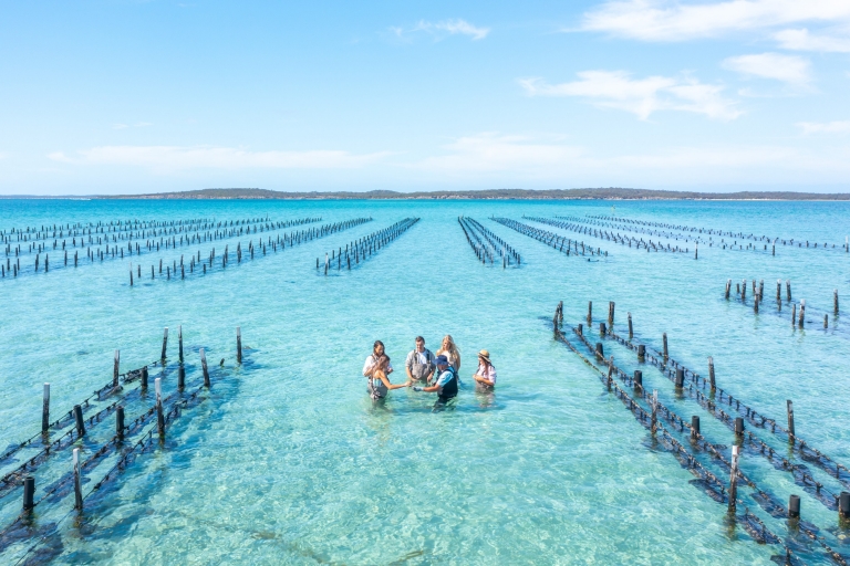 南オーストラリア州、エア半島、エクスペリエンス・コフィン・ベイ © Tourism Australia 南オーストラリア州、エア半島、エクスペリエンス・コフィン・ベイ © Tourism Australia
