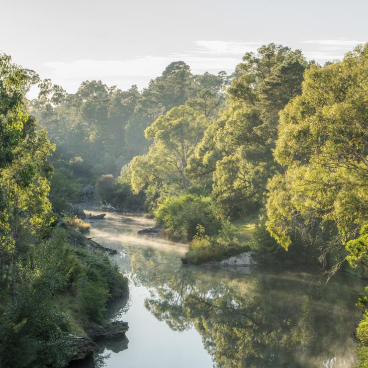 ベリマのウィンジキャリビー川 © Destination NSW ベリマのウィンジキャリビー川 © Destination NSW