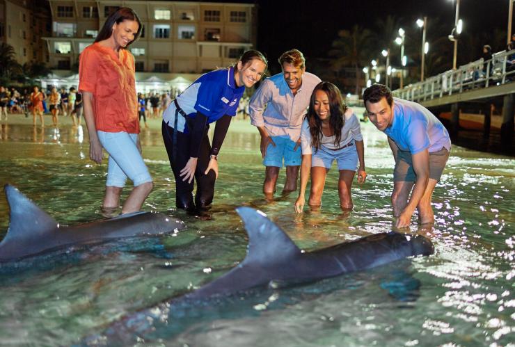 クイーンズランド州、モートン島、タンガルーマ・アイランド・リゾート、イルカの餌付け © Tourism and Events Queensland クイーンズランド州、モートン島、タンガルーマ・アイランド・リゾート、イルカの餌付け © Tourism and Events Queensland