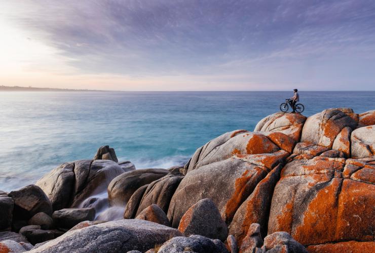 タスマニア州(Tasmania)、ビナロング・ベイ(Binalong Bay)、ベイ・オブ・ファイアー(Bay of Fires)© Stu Gibson タスマニア州(Tasmania)、ビナロング・ベイ(Binalong Bay)、ベイ・オブ・ファイアー(Bay of Fires)© Stu Gibson