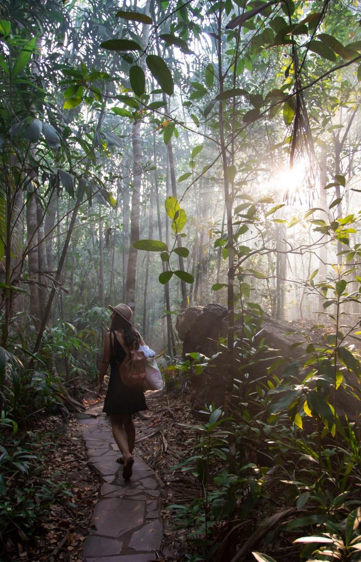 ノーザンテリトリー、リッチフィールド国立公園、フローレンス滝 © Tourism Australia ノーザンテリトリー、リッチフィールド国立公園、フローレンス滝 © Tourism Australia