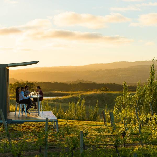 360도 파노라마 체험, 더 레인 빈야드, 애들레이드 힐즈, 남호주 © 아담 브루즈원(Adam Bruzzone)