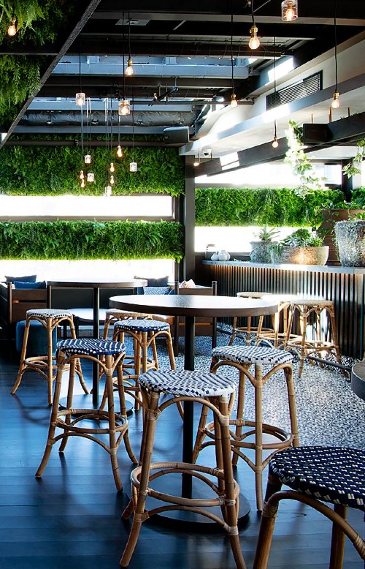 하디카, 퍼스, 서호주 © 조디 다시(Jody D'arcy) / 하디카 하디카, 퍼스, 서호주 © 조디 다시(Jody D'arcy) / 하디카