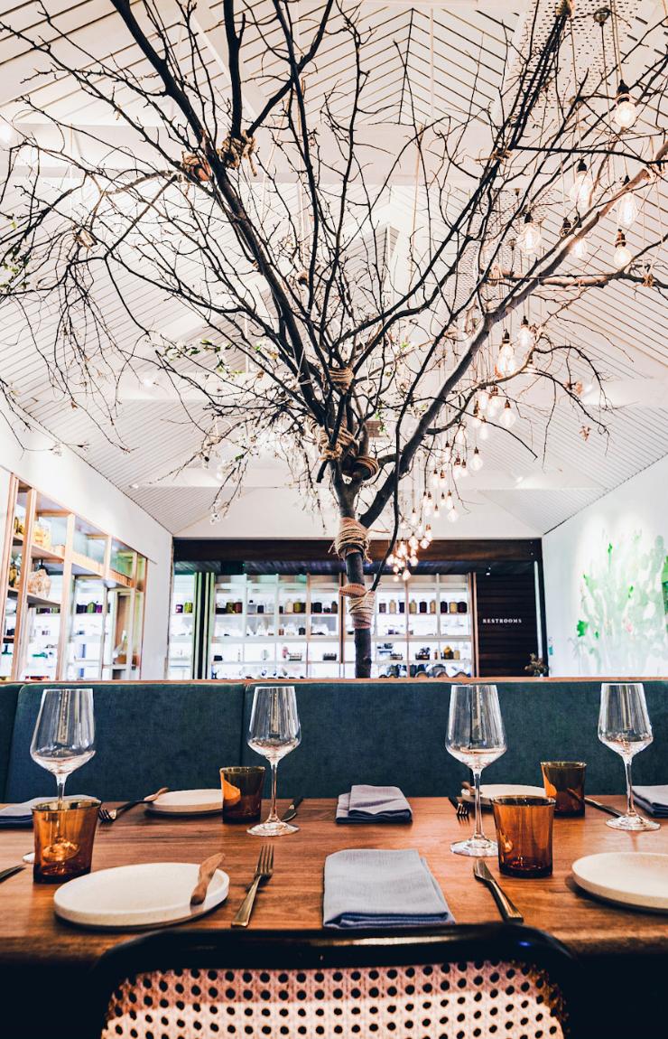 쿠지 커먼, 쿠지, 서호주 © 사뮤엘 데이빗(Samuel David) @marcelvibes 쿠지 커먼, 쿠지, 서호주 © 사뮤엘 데이빗(Samuel David) @marcelvibes