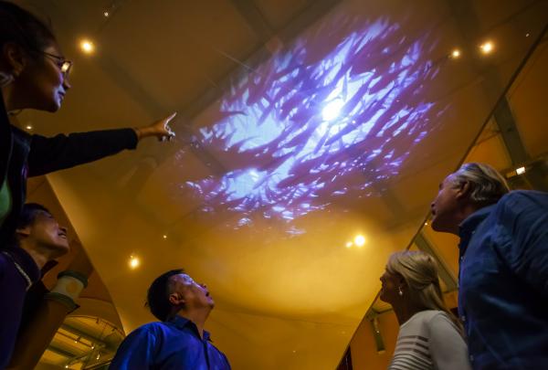 호주 박물관, 퍼스트 오스트레일리안스 갤러리, 시드니, 뉴사우스웨일스 © 아치 사트라콤(Archie Sartracom), 호주정부관광청