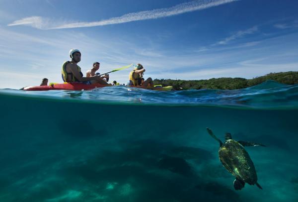 줄리안 록스, 바이런 베이, 뉴사우스웨일스 © 크레이그 패리(Craig Parry)