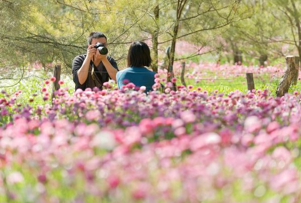킹스 파크 식물원, 퍼스, 서호주 © 식물원 및 공원 관리공단