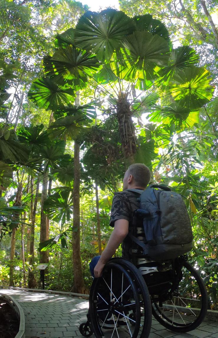 Man in a wheelchair looking up at the canopy of the Daintree Rainforest in Queensland © Tourism and Events Queensland Man in a wheelchair looking up at the canopy of the Daintree Rainforest in Queensland © Tourism and Events Queensland