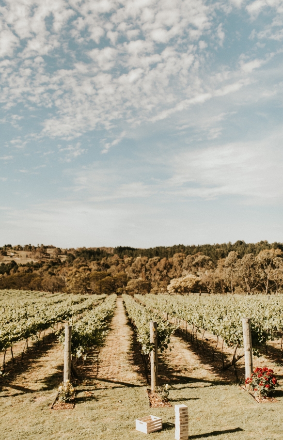 Contentious Character, Wamboin, New South Wales © Contentious Character Contentious Character, Wamboin, New South Wales © Contentious Character