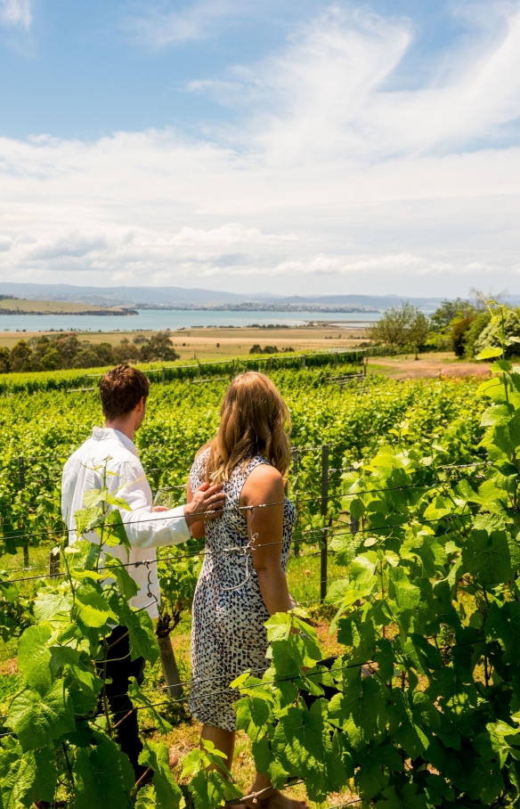 Couple at Coal River Vineyard near Hobart © Alastair Bett Couple at Coal River Vineyard near Hobart © Alastair Bett