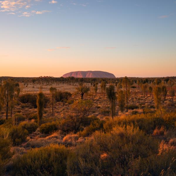 Uluru, Trung tâm Đỏ, © NT Tourism Australia