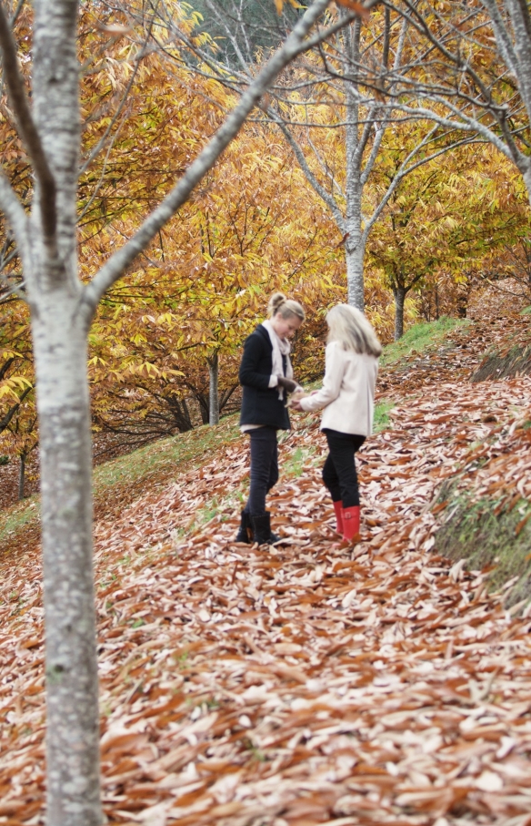 Lễ hội thu hoạch vùng cao, VIC © Tourism Australia