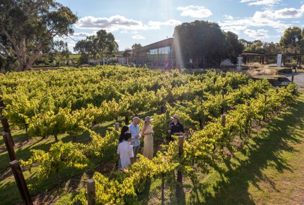 Jacob's Creek, Thung lũng Barossa, SA © Jacob's Creek