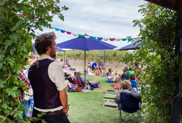 Vườn nho bằng phẳng Thổ Nhĩ Kỳ, Thung lũng Barossa, SA © Nathaniel Mason (Mason Digital)