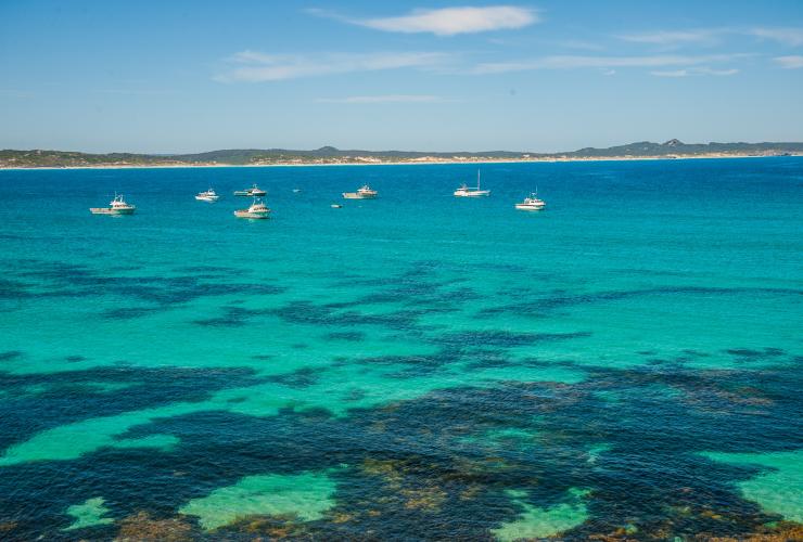 Vịnh Vivonne, Đảo Kangaroo, SA © Rishaad Saam Mehta  Vịnh Vivonne, Đảo Kangaroo, SA © Rishaad Saam Mehta