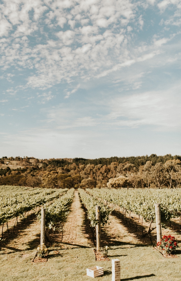 Nhân vật gây tranh cãi, Wamboin, Nhân vật gây tranh cãi ở New South Wales ©  Nhân vật gây tranh cãi, Wamboin, Nhân vật gây tranh cãi ở New South Wales ©