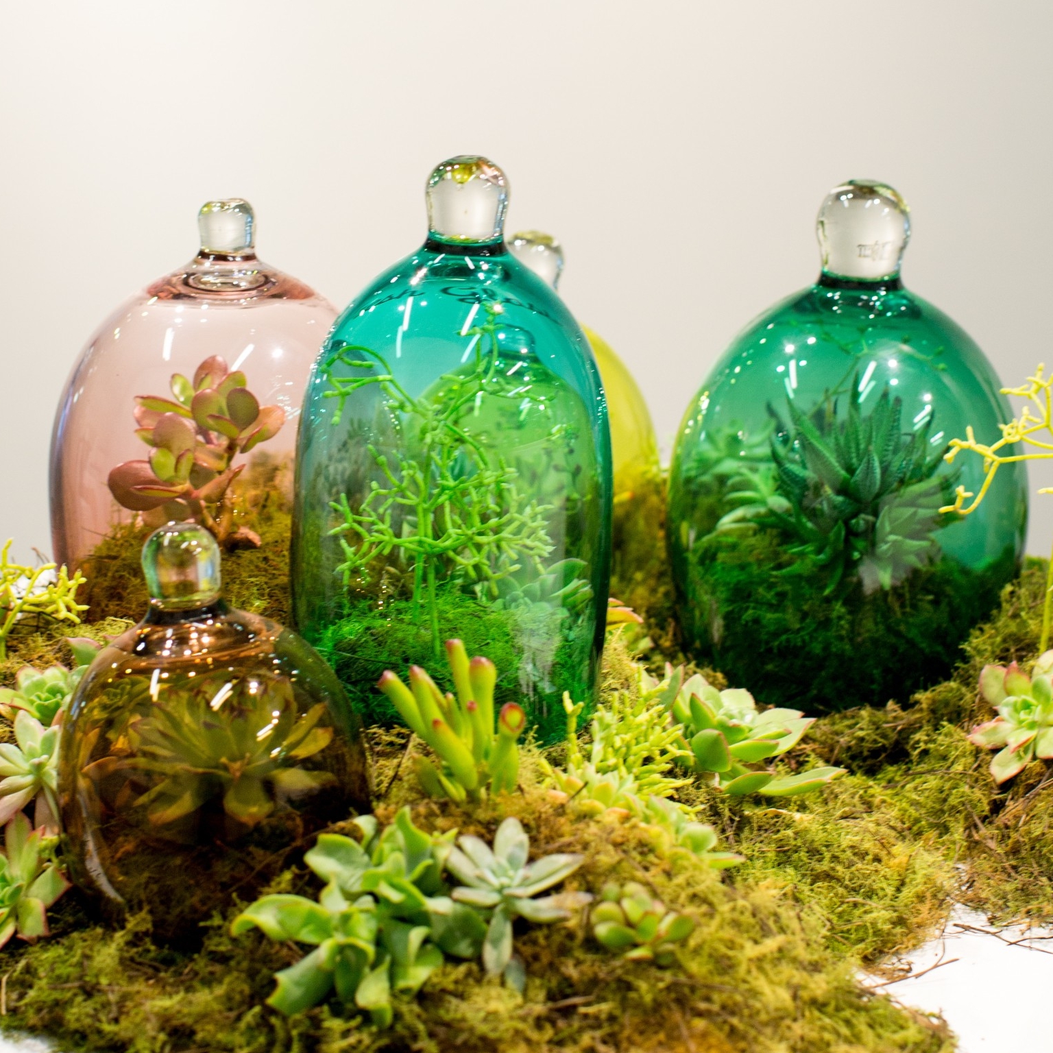 Trưng bày nghệ thuật tại Canberra Glassworks ở Kingston © VisitCanberra