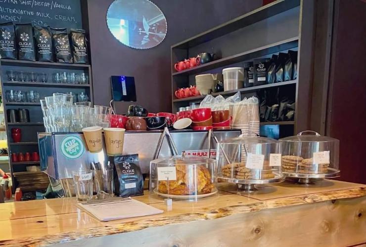 Nâu gừng, Hobart, Tasmania © Kim White Nâu gừng, Hobart, Tasmania © Kim White