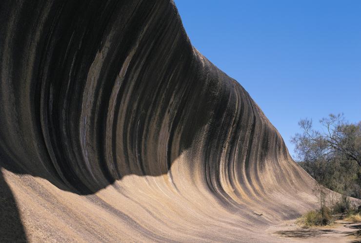 Wave Rock, Công viên Động vật Hoang dã Hyden, Du lịch Tây Úc © 