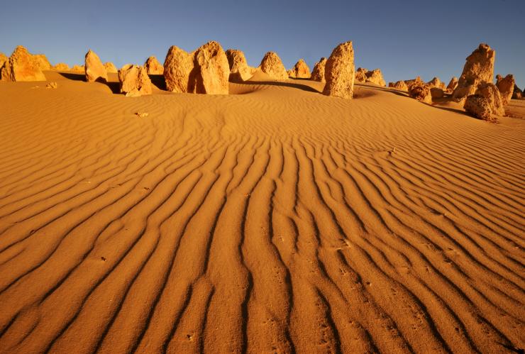 The Pinnacles, Vườn quốc gia Nambung, Công viên nghỉ dưỡng WA © BIG4