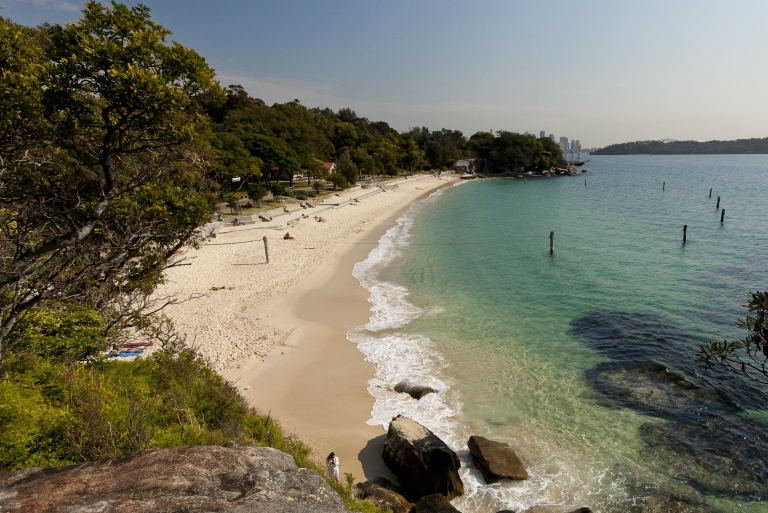Bãi biển Shark, Công viên Nielsen, Sydney, New South Wales © Andrew Gregory / Điểm đến NSW