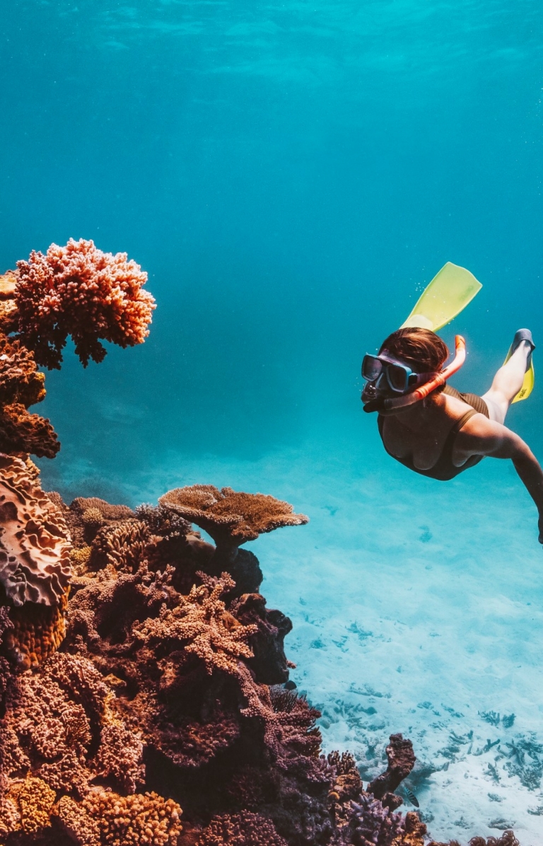 Rạn san hô Great Barrier, QLD © Du lịch Nhiệt đới Bắc Queensland