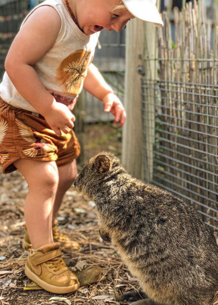 南澳州阿德萊德的阿德萊德動物園內的男孩和短尾矮袋鼠©Carissa Wright 南澳州阿德萊德的阿德萊德動物園內的男孩和短尾矮袋鼠©Carissa Wright