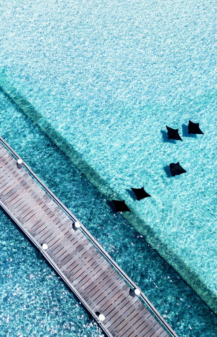 昆士蘭州海龍島棧橋俯瞰圖©James Vodicka 昆士蘭州海龍島棧橋俯瞰圖©James Vodicka