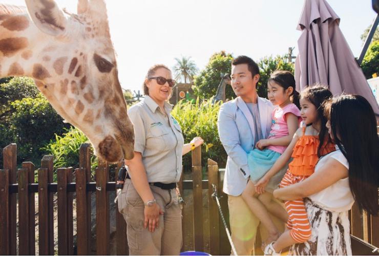 新南威爾士州悉尼塔龍加動物園©新南威爾士州旅遊局 新南威爾士州悉尼塔龍加動物園©新南威爾士州旅遊局