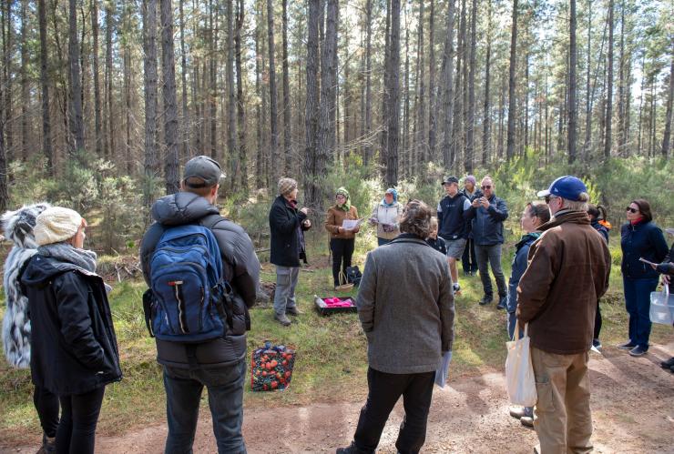 Wild Food Adventures在賓露斯州森林(Penrose State Forest)舉辦搜尋食材之旅©Wild Food Adventures/Ashley Mackevicius Wild Food Adventures在賓露斯州森林(Penrose State Forest)舉辦搜尋食材之旅©Wild Food Adventures/Ashley Mackevicius
