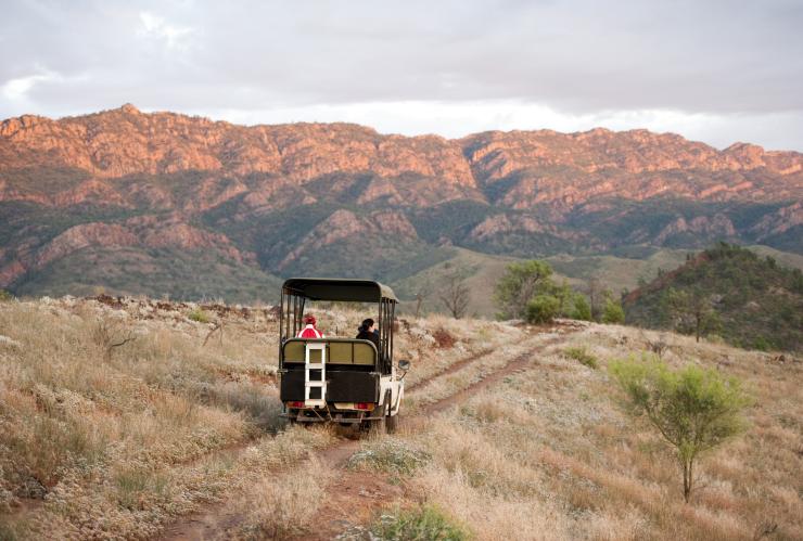 南澳州(South Australia)費蓮達山脈(Flinders Ranges)阿卡巴(Arkaba)的鴯鶓 © South Australian Tourism Commission/Cameron Bloom 南澳州(South Australia)費蓮達山脈(Flinders Ranges)阿卡巴(Arkaba)的鴯鶓 © South Australian Tourism Commission/Cameron Bloom