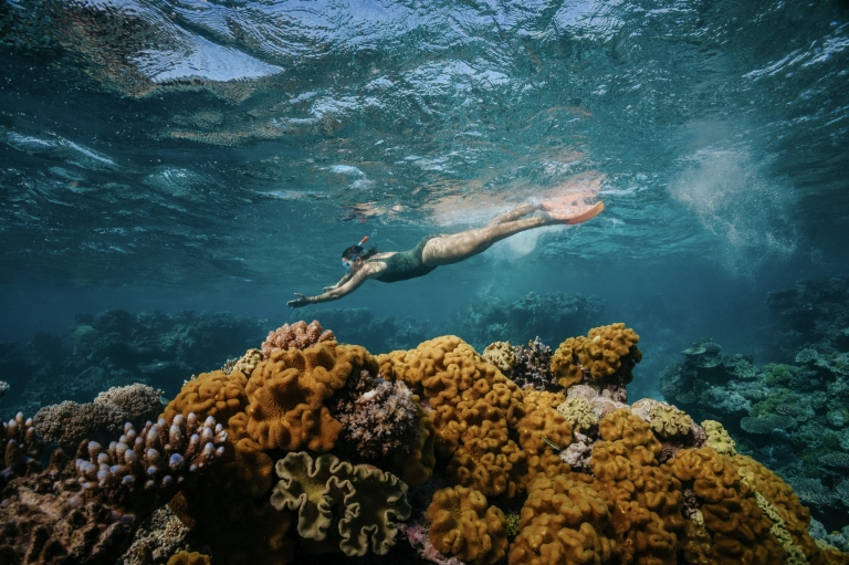 昆士蘭州開恩茲的Dreamtime Dive and Snorkel©澳洲旅遊局 昆士蘭州開恩茲的Dreamtime Dive and Snorkel©澳洲旅遊局