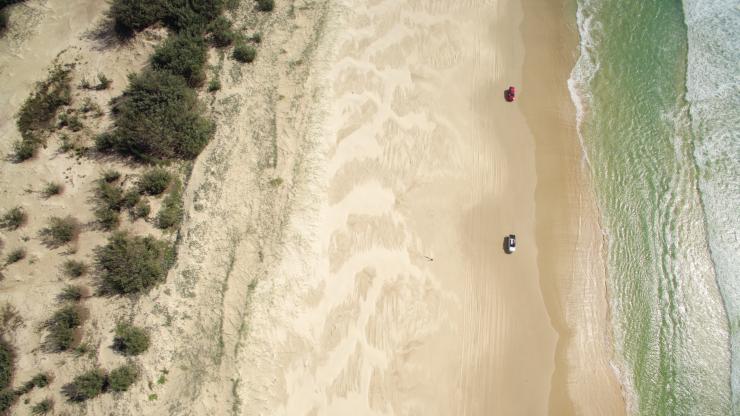 昆士蘭州費沙島雨林（Fraser Island Rainforest）©昆士蘭州旅遊及活動推廣局（Tourism and Events Queensland）