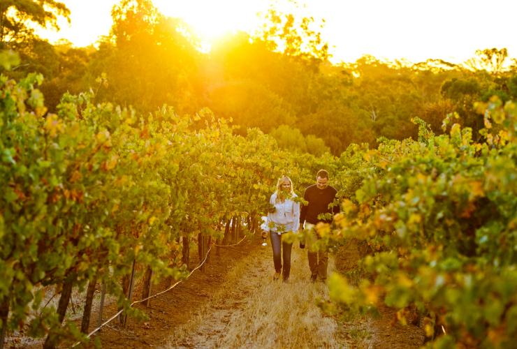 南澳(South Australia)克萊爾谷(Clare Valley)的七山丘酒窖(Sevenhill Cellars)©南澳旅遊局Adam Bruzzone 南澳(South Australia)克萊爾谷(Clare Valley)的七山丘酒窖(Sevenhill Cellars)©南澳旅遊局Adam Bruzzone