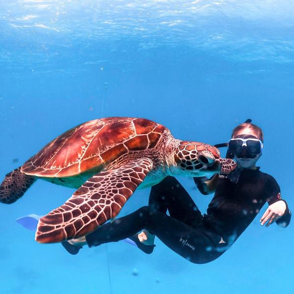 昆士蘭大堡礁的瑪斯格雷夫女士島©昆士蘭旅遊及活動推廣局