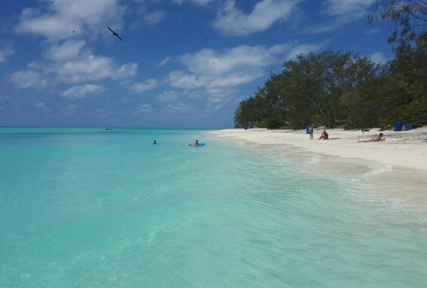 昆士蘭大堡礁的西北島©昆士蘭旅遊及活動推廣局
