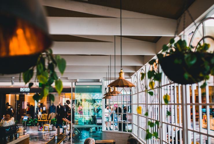 澳洲首都領地坎培拉的Greenhouse Coffee and Co.©Greenhouse Coffee and Co. 澳洲首都領地坎培拉的Greenhouse Coffee and Co.©Greenhouse Coffee and Co.