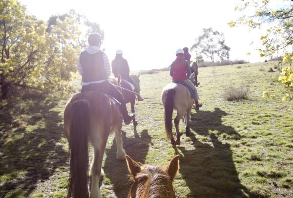 澳洲首都領地坎培拉賓利探索之旅 ©坎培拉旅遊局
