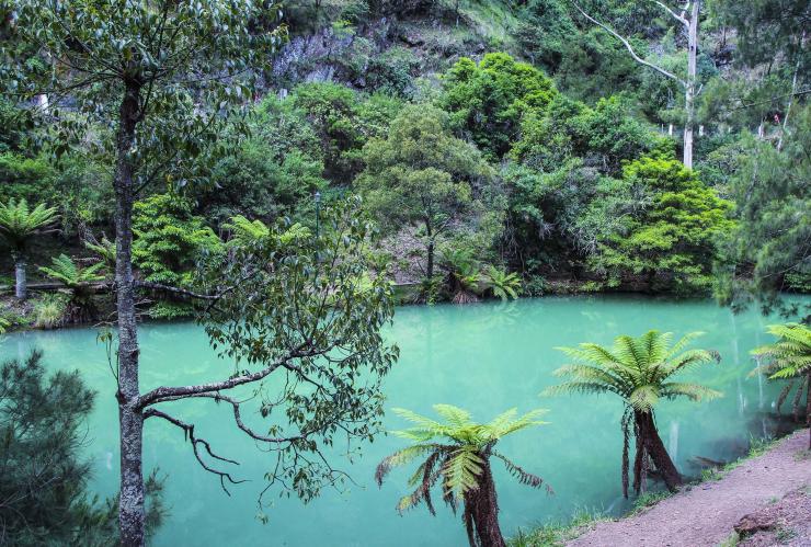新南威爾士藍山珍羅蘭山洞的藍湖©新南威爾士州旅遊局 新南威爾士藍山珍羅蘭山洞的藍湖©新南威爾士州旅遊局