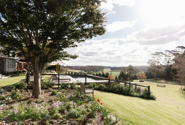 亞弗卡Springfield Farm的花園©Springfield Farm