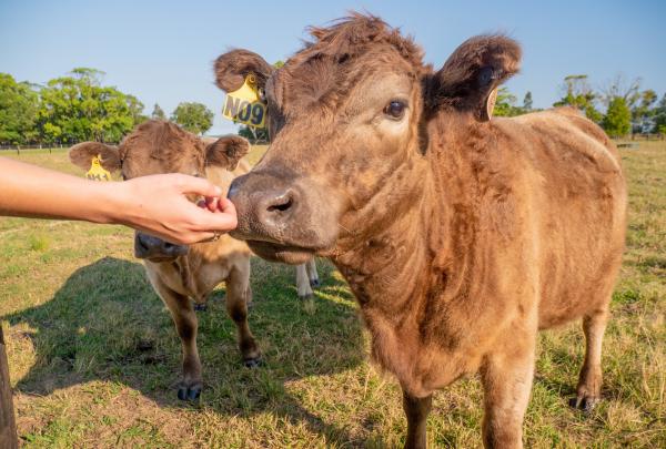 新南威爾士州拜倫灣©澳洲旅遊局