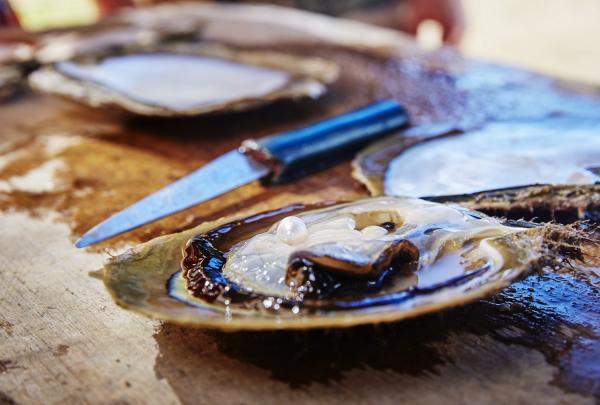 西澳丹皮爾半島的錫格尼特灣珍珠養殖場©西澳州旅遊局