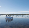 Saffire Signature Experiences, Freycinet Marine Oyster Farm, Coles Bay, Freycinet National Park, Tasmanien © Tourism Tasmania