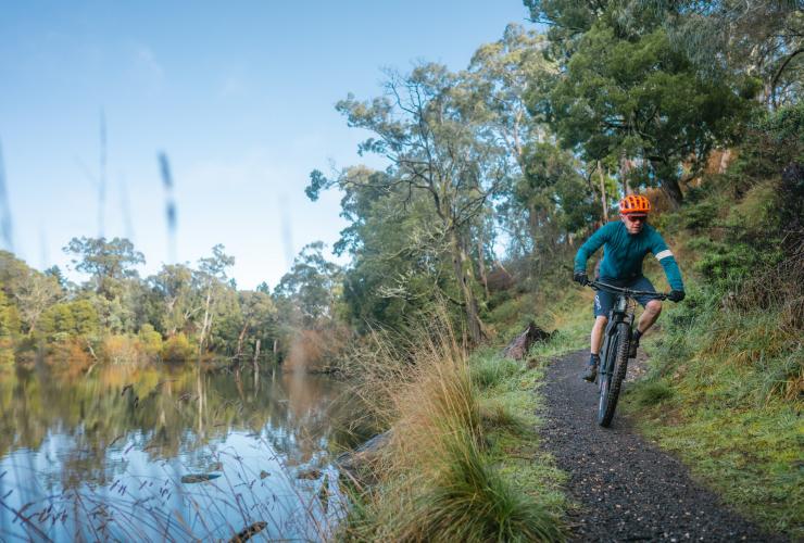 Ein Radfahrer fährt am Jubilee Lake entlang auf einem unbefestigten Weg durch das Buschland, Daylesford, Victoria © Visit Victoria